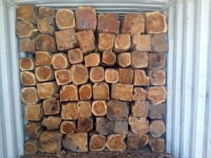 Wooden Log <b>Material</b> High Quality Sells Like Hot Cakes Teak Square Logs Timber Sawn Teak Wood Logs Timbe - Product Image 2