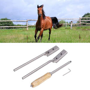 Kit de râpe à flotteur réglable pour cheval 4 pièces ensemble d'outils dentaires équins professionnels avec haute flexibilité polissage fin en acier inoxydable - Product Image 6