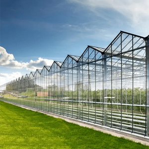 Serre en verre professionnelle pour la culture de légumes et de semis, structure durable, rendement élevé et longue durée de vie - Product Image 6