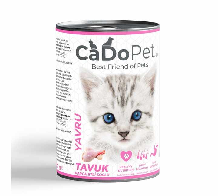 Wet Foods for Cat and Dog