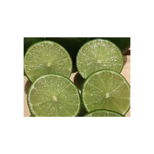 للبيع الليمون الأخضر النقي الطبيعي بدون بذور من التصنيع الفيتنامي بأسعار تنافسية في السوق
