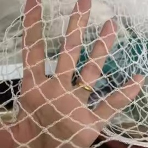 Nhiệm Vụ Nặng Nề Nhựa HDPE Polythene 19Mm 3/4 ''Lưới Bồ Câu Net Chống Bird Lưới Bảo Vệ Rau Và Trái Cây - Product Image 3