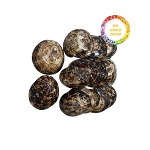 เปลือกหอยผลิตภัณฑ์ตกแต่งจากธรรมชาติ99โกลด์ดาต้า - Product Image 3