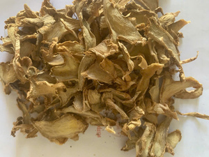 Copos de Jengibre Liofilizados, Bolsa de PP de 2 Capas, 30 kg - Product Image 6