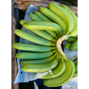 Banane fraîche à bas prix-Vietnam Fresh Green Cavendish Banana - Top Produit Fruits et légumes frais du Vietnam - Product Image 2