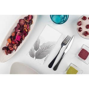 Tovaglioli Neri 40x40cm con Stampa Otoo, Piegati 1/8, Morbidi e Asciutti, 480 Pezzi, B2B - Product Image 2