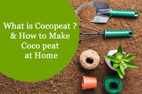 Fabricantes y proveedores del sur de la India que exportan semillas de jardín de cáscaras de coco derivadas de cocopeat, paquetes de 5kg, venta completa a buen precio