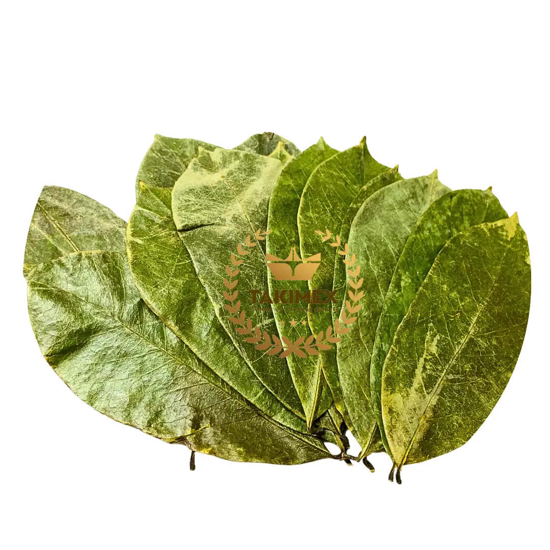 Bán buôn số lượng lớn số lượng khô graviola lá khô soursop Lá Chất lượng rất cao từ Việt Nam 100% tự nhiên