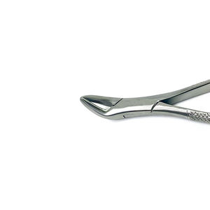 Meilleures ventes ARISTON INTERNATIONAL Forceps d'extraction dentaire en acier inoxydable, utilisation manuelle, professionnelle, quantité en vrac, nouvelle arrivée - Product Image 4