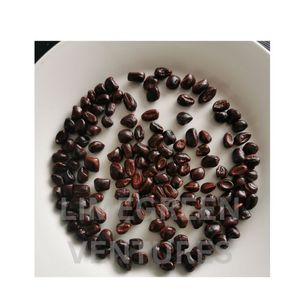 Semillas de tamarindo de marca de doble lengua de alta calidad (semillas Imli) para aplicaciones alimentarias industriales Tamarindus Indica estante de 12 meses - Product Image 3