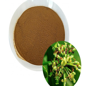 100% Pure Cissus Quadrangularis Extrait Poudre Hadjod Extrait Poudre Cissus Quadrangularis Tige et Feuille Extrait Poudre - Product Image 2