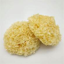 NATURAL IMMUNE SUPPORT <b>DRIED</b> WHITE FUNGUS CLEAN LABEL <b>PLANT</b> BASED SUPERFOOD - Product Image 6