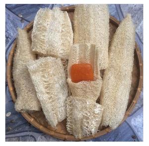 Lufa lufa cruda de alta calidad de Vietnam-mejor precio Luffa 100% natural barato con estándar de exportación - Product Image 2