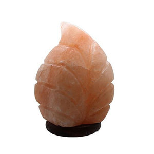 Lampes de sel de l'Himalaya en forme de feuille raffinée emballée dans un sachet de bouteille de sac - Product Image 6