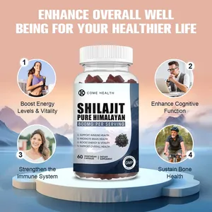 OEM fabbrica diretta salute generale purificato Himalayan Shilajit estratto di Gummies naturale vitamine e minerali ricchi di Shilajit