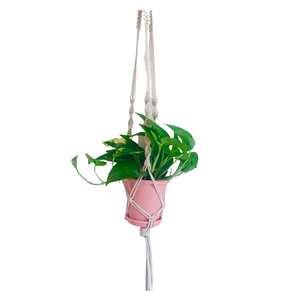 Specially Design Hanging Macrame <b>Planters</b> <b>Outdoor</b> Ware Garden Decoration Top Trendy Coming Home Decoration Hanging Flower Pots - Product Image 1