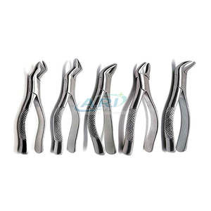 Pinzas Quirúrgicas Dentadas de Acero Inoxidable Duradero, Herramienta Médica de Acero Inoxidable - Product Image 3