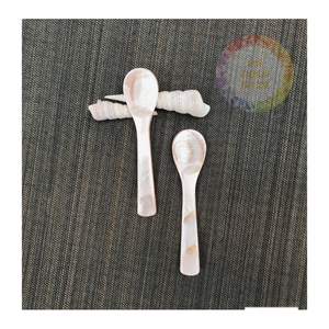 Juego de cucharas artesanales de nácar y concha para servir, regalos culinarios al por mayor, cafés y uso hospitalario - Product Image 1