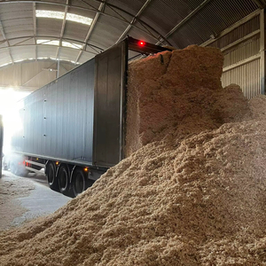 Virutas de Madera, Aserrín para una Limpieza Eficaz a un Precio Bajo Aprobado - Product Image 1