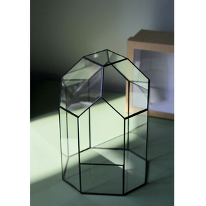 Terrarium en verre exclusif nouveau style le plus vendu avec bordure en laiton fini noir pour la décoration de la maison et de la fête dans la déco de jardin - Product Image 6