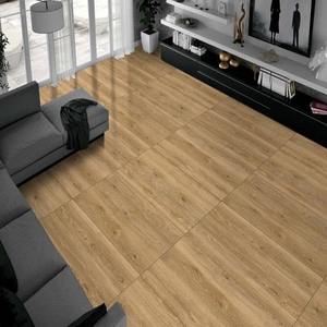 Azulejos de Porcelana de Alto Brillo y Excelente Calidad para Aplicaciones de Revestimiento de Pisos y Paredes Disponibles para la Venta desde India - Product Image 2