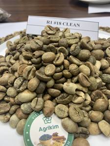 เมล็ดกาแฟโรบัสต้าสีเขียว ผลผลิตใหม่ ขนาด 18 คัดพิเศษ บรรจุถุงกระสอบป่าน บริษัทเวียดนาม อะกริคิม ได้รับการรับรองมาตรฐาน ISO - Product Image 6