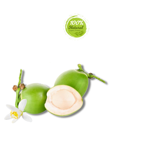 Cadeau spécial de la nature Noix de coco fraîche vietnamienne Produit agricole de qualité supérieure - Product Image 5