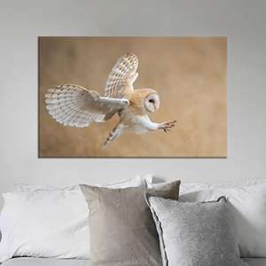 Impresión en lienzo de elegante búho granizo: arte de la fauna nocturna de la naturaleza, lienzo envuelto - Product Image 1