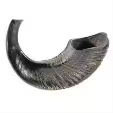 Shofar de Cuerno de Carnero Pulido Natural Estilo Animal para Rosh Hashaná por Crescent Crafts - Product Image 4