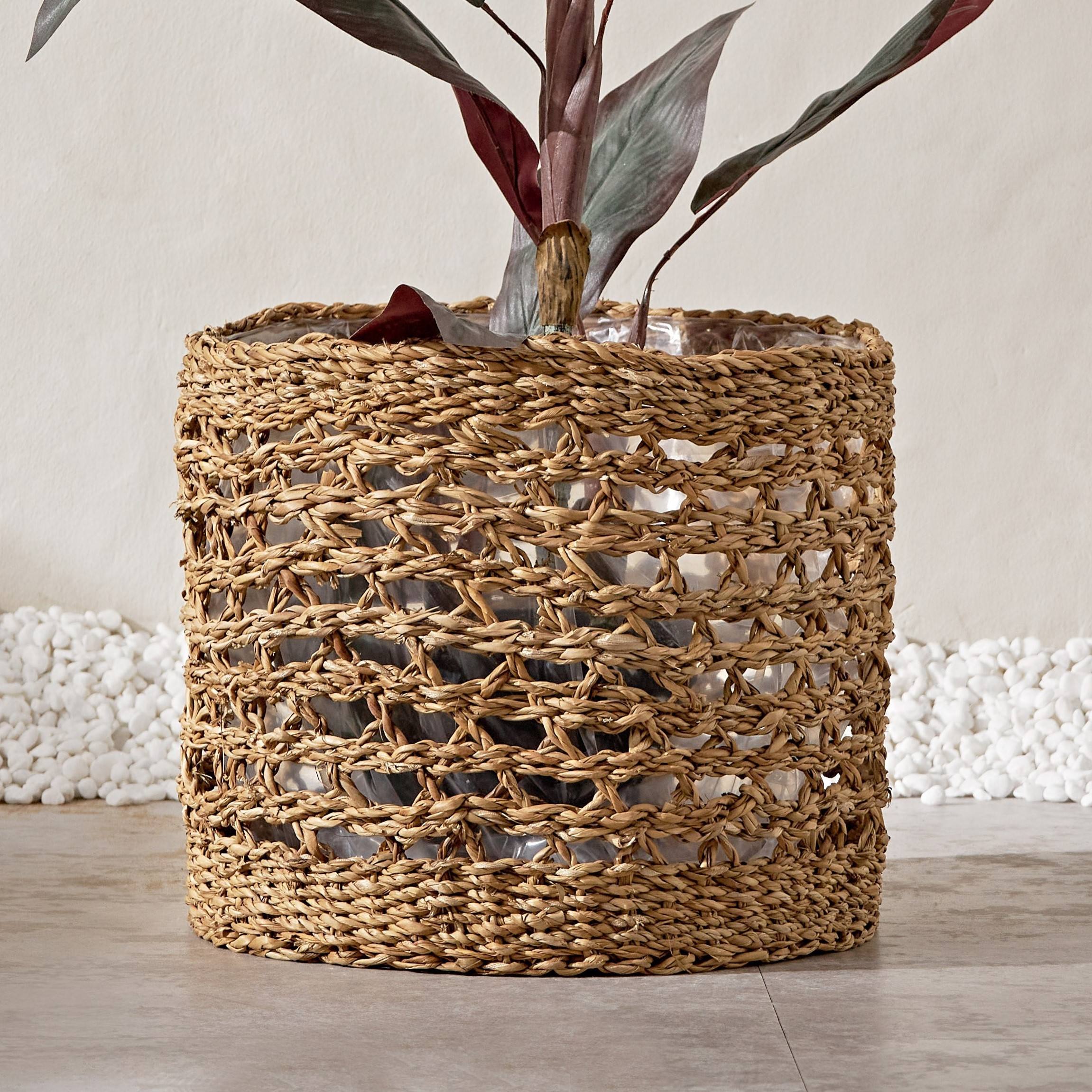 ธรรมชาติ