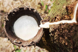 NATURAL <b>LATEX</b> <b>RUBBER</b> / HIGH STRENGTH & FLEXIBILITY / MADE in VIETNAM - Product Image 6