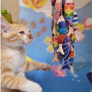 Pieza de Arte de pescado de madera hecha a mano Decoración de talla única para diseñadores de interiores - Product Image 5