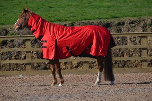 600D RIP STOP & 350g Combo Heavyweight Horse Turnout Rug Toutes les tailles 5'3 "-7'0" - Product Image 6