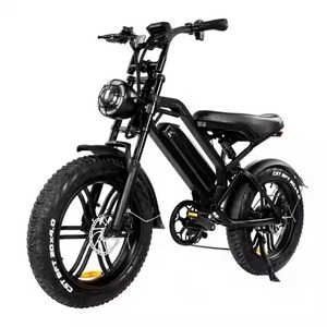 Bicicleta Eléctrica de Montaña de Alta Calidad 2024, Modelo V20 3.0, 20 Pulgadas, 250W/750W/1000W, Neumáticos Anchos, Disponible en Almacén de la UE - Product Image 2