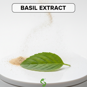 Extracto Seco de Tulsi de Grado Estándar para Cadenas de Suministro de Ingredientes Botánicos, Cuidado Personal y Ayurveda - Product Image 4