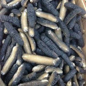 ปลิงทะเลแบบแห้ง - Product Image 6