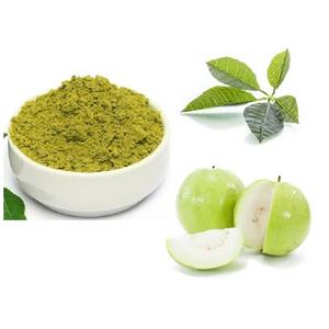 Polvo de hoja de guayaba de Vietnam, venta al por mayor - Product Image 1