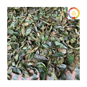 Thé de feuilles de corossol séchées du Vietnam en gros, feuilles de graviola naturelles - Product Image 1