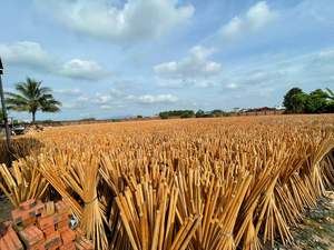 Manche de balai en bois en gros provenant d'Afrique du Sud pour une utilisation polyvalente - Product Image 5