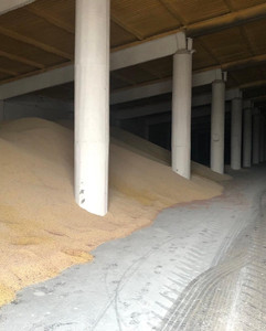 Harina de Soja Alta en Proteínas, Ingrediente Premium para Alimentación y Alimentos, Harina de Pescado de Primera Calidad en Venta, Alta en Proteínas para Animales - Product Image 1