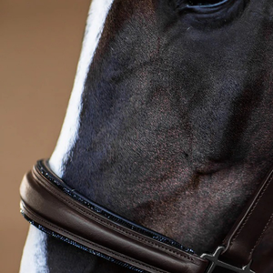Bride inspirée pour chevaux en cuir véritable offrant un ajustement réglable, une grande durabilité et une qualité équestre professionnelle - Product Image 6