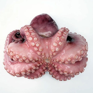 Đông Lạnh Bạch Tuộc Bán Buôn Cao Cấp Hải Sản Mù Tạt Có Hương Vị Bạch Tuộc Sẵn Sàng Để Ăn Sushi Tako Salad Wasabi Bạch Tuộc - Product Image 6