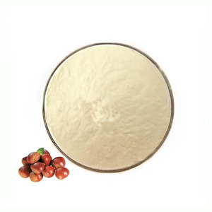 Poudre d'extrait de fruit de marron d'Inde naturel en vrac avec vitamines, qualité alimentaire, emballage en fût - Product Image 6