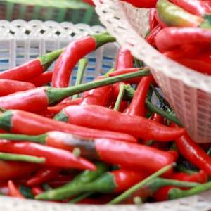 Chile Rojo de Primera Calidad para Venta al por Mayor - Product Image 6