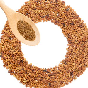 Alfalfa | Cultivo forrajero Premium para rebaños lecheros - Product Image 1