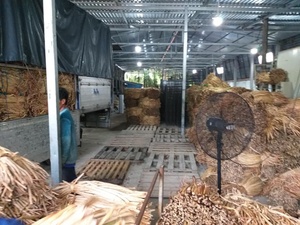 HOT SELLING Natural Dried Water Hyacinth Bales for <b>Basket</b> <b>Weaving</b> Eco Friendly Sustainable Raw Material Supply Vietnam - Product Image 5