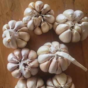 Ajo Seco Vietnamita Único 100% Natural 12 Meses de Duración para Exportación al por Mayor - Product Image 2