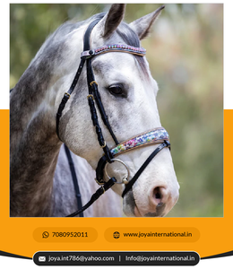 Edición limitada Versailles Brida Fabricante Plegable Caballo Producto a precio mayorista - Product Image 4