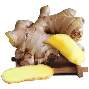 Gingembre jaune biologique frais de grande taille, qualité supérieure, récolte nouvelle, 200g, pour le marché américain, vente en gros - Product Image 4