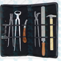 Kit de herramientas de herrador profesional de alta calidad hecho a medida para caballo, el mejor equipo de herrador, Kit de cuidado de pezuña de caballo para herradura
